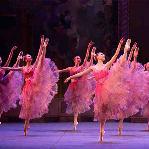 Boston Ballet: Winter Experience